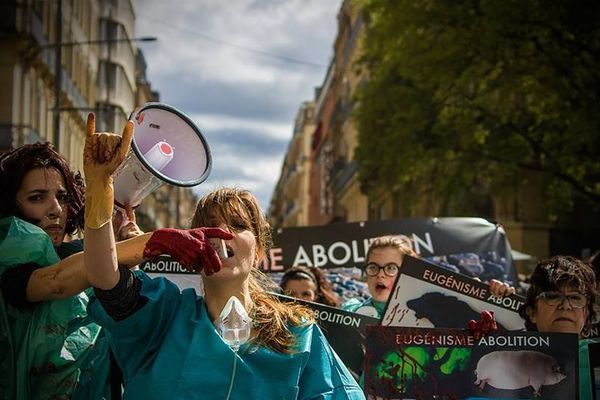 Des militants de Boucherie Abolition lors d'une action dans la rue