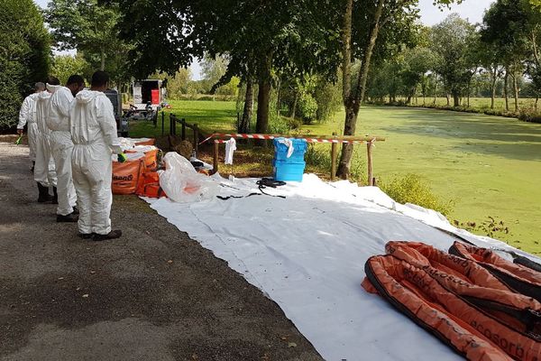 Une équipe installe un dispositif pour nettoyer la Seiche, victime d'une pollution