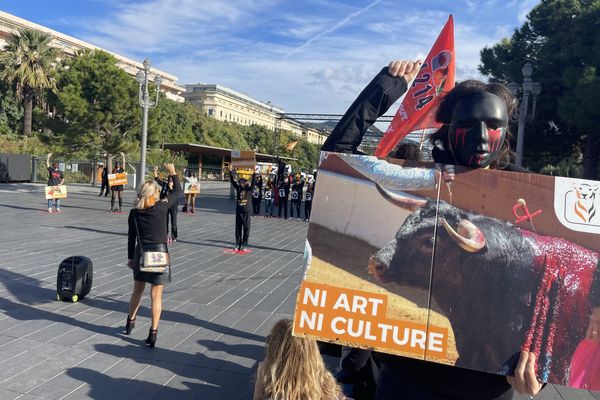 Les manifestants se sont mobilisés sur la place Masséna à Nice ce samedi 19 novembre.