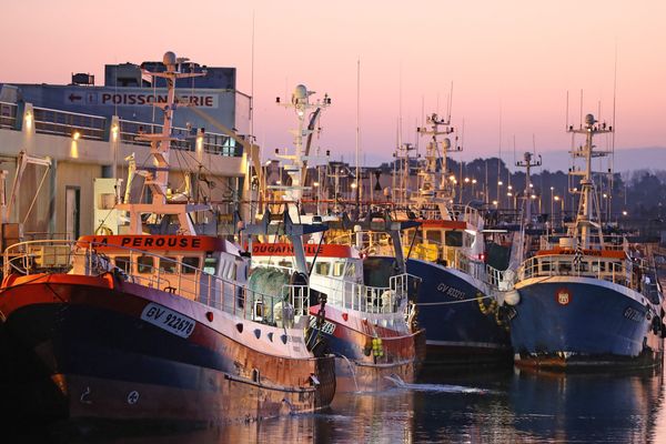 Illustration, le port du Guilvinec