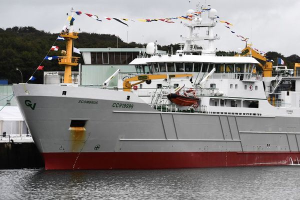 La Scombrus, nouveau bateau de France Pélagique, suscite la colère d'associations écologiques et des pêcheurs 