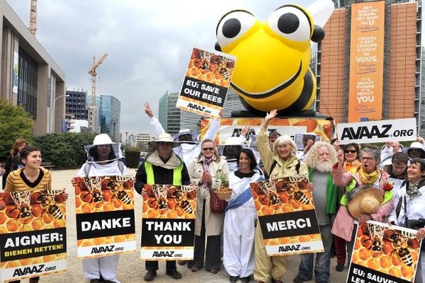 Des défenseurs des abeilles manifestent devant les locaux de l'Union européenne à Bruxelles pendant le vote sur l'interdiction de trois pesticides le 29 avril 2013 