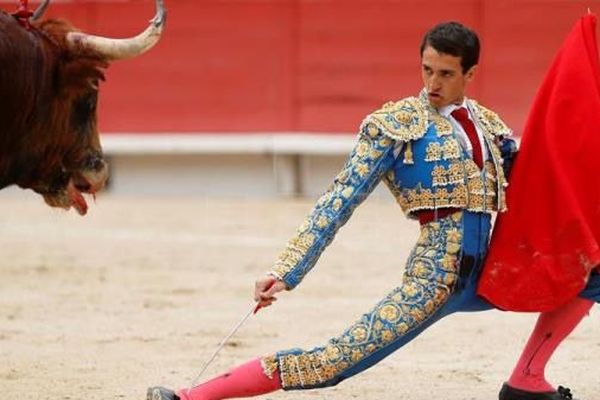 Thomas Joubert ici avec un toro de Pedraza. Arles, 26 mars 2016. Il est à Saint-Martin-de-Crau ce dimanche 29 avril.