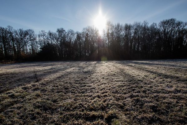 Les records de chaleur se sont enchaînés en 2018.