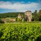 Des vignes à Gevrey-Chambertin (Côte-d'Or).