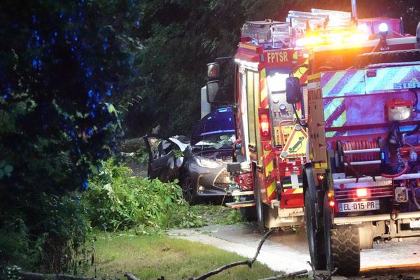 Une chute d'arbres provoquée par des orages violents près de Brienne-le-Château (Aube) a entraîné la mort de trois personnes qui circulaient en voiture sur cet axe, le dimanche 29 juin au soir.