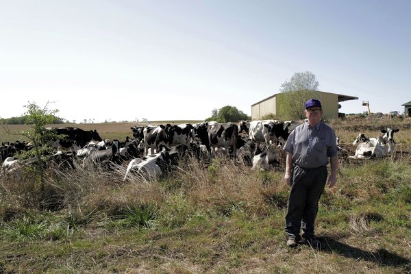 Avec le manque de pluie de l’été, les pâturages ne suffisent plus à nourrir les 200 vaches du troupeau. Daniel Perrin cherche comment mieux anticiper les longues périodes de sécheresse. 