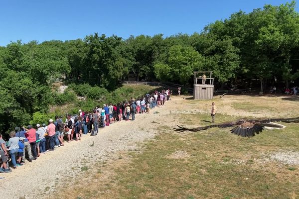 Une démonstration au Rocher des aigles, ce samedi 28 mai.