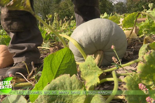 La mobilisation contre l'OFB est inadmissible pour la Confédération paysanne. Selon elle, cela donne un image dégradante d'une profession qui doit militer pour une agriculture respectueuse de l'environnement et socialement heureuse.