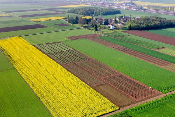 La plateforme d'expérimentation CA-SYS de l'Inrae à Bretenière (Côte-d'Or) s'étend sur 125 hectares.