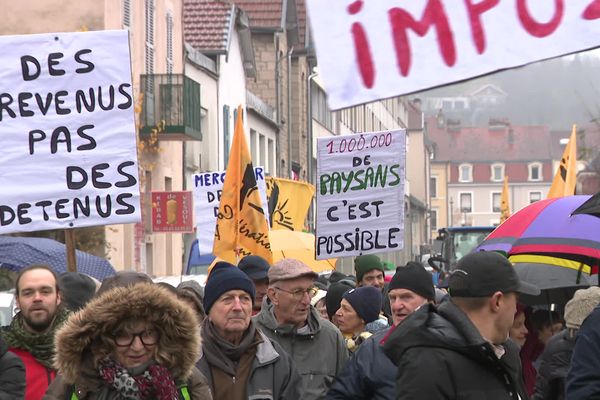 La Confédération paysanne dans les rues de Vesoul, Haute-Saône.