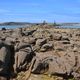 Ile de Toëno à marée basse, près de Trebeurden. Côtes d'Armor