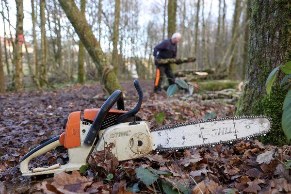 Un accident de bucheronnage a fait une victime dans état grave, sur la commune de Nages, dans le Tarn.