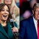 Kamala Harris ou Donald Trump ? Mardi 5 novembre, les expatriés américains à Lille seront fixés sur le nom de leur président.