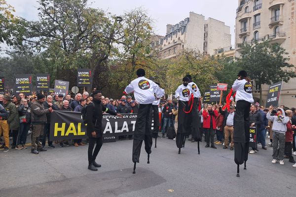 À Paris, ce jeudi 7 novembre, une manifestation a rassemblé les professionnels de la filière des courses hippiques venus dénoncer le projet d'augmentation de la taxe sur les paris hippiques.