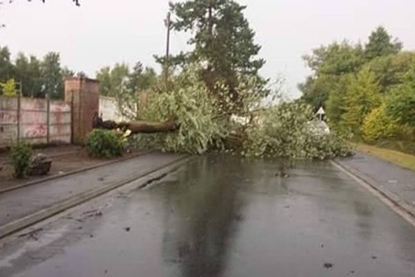 Arbres couchés, inondations de rues, électricité coupée : les orages sont passés dans le Nord Pas-de-Calais.