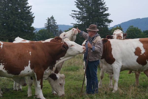 Le bonheur est dans le pré avec Gérard et ses génisses.