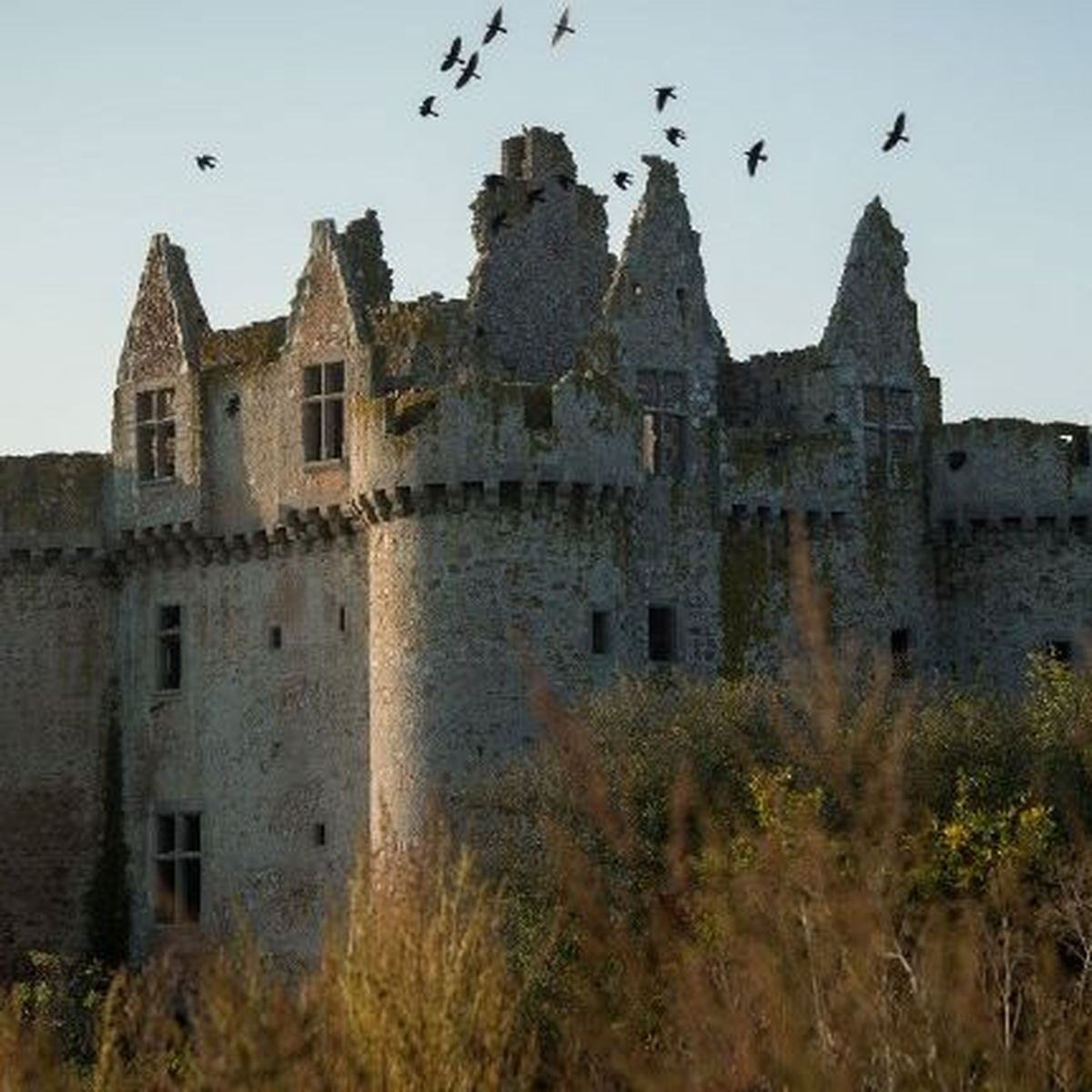 Le château Treuffet à Douai, le coin insolite de Gabriel Facon