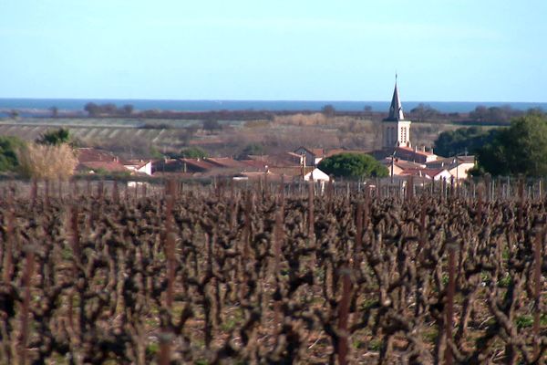 Pinet (Hérault) - en 2029, les travaux de construction de la LNMP, la Ligne Nouvelle Montpellier-Perpignan, couperont l'appellation AOP en deux - janvier 2025.