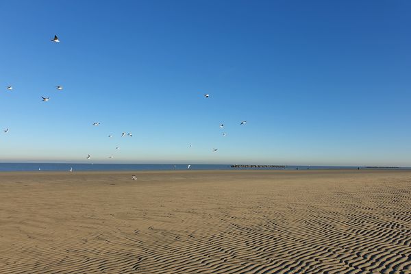 Un dimanche ensoleillé pour profiter, pourquoi pas, d'une balade sur le littoral.