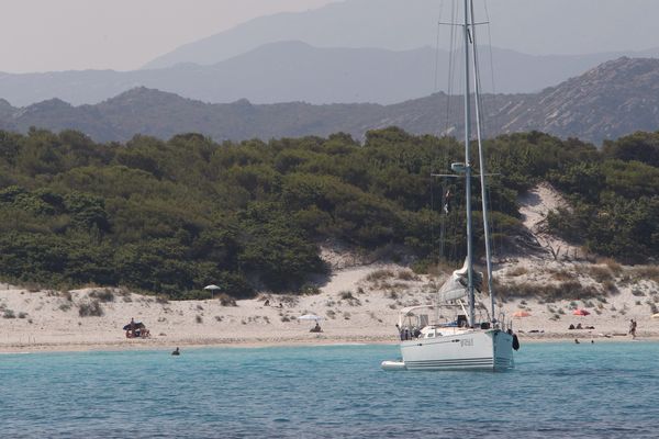 Saleccia Quelques Jours Après Lincendie De La Guérite Les Nouveaux Aménagements Pour Réguler 