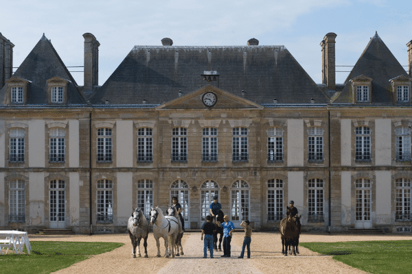 Image d'Archives du Haras du Pin