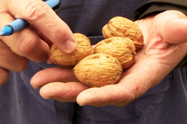 Le traditionnel marché aux noix