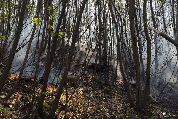 Deux hectares de feuillus ont brûlé ce mardi après-midi.