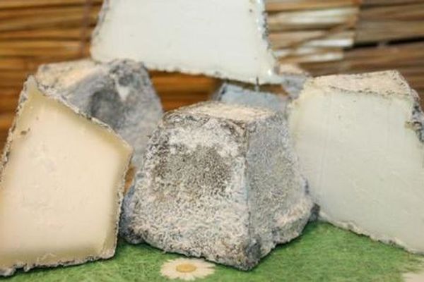 Fromage de Valençay