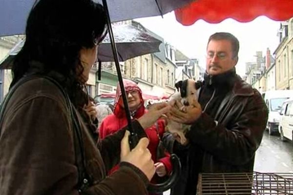 Le marché aux chiens a lieu jusqu'à dimanche à la foire de la Saint Martin