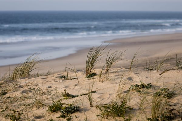 Les 41 plages océanes des Landes recensées sur un site.