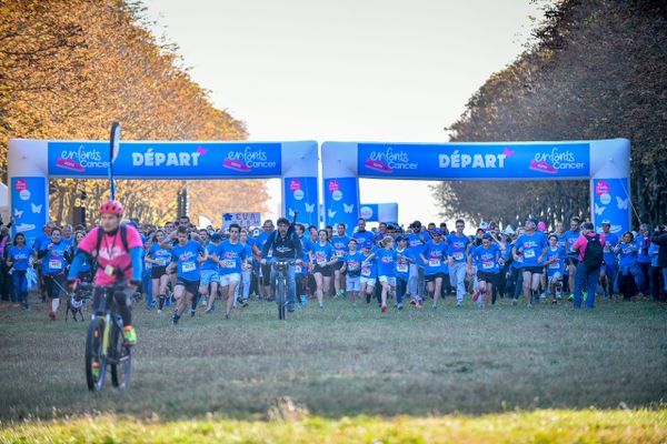 Depuis sa première édition en 2012,  29 000 coureurs ont participé à la course