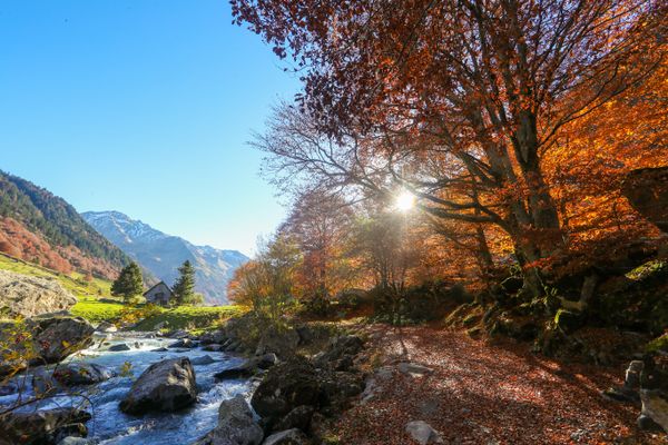 Les Pyrénées en automne offrent aux promeneurs une palette de couleurs exceptionnelles.