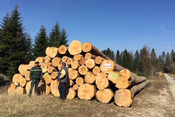 Le Bois du Jura devient une AOC