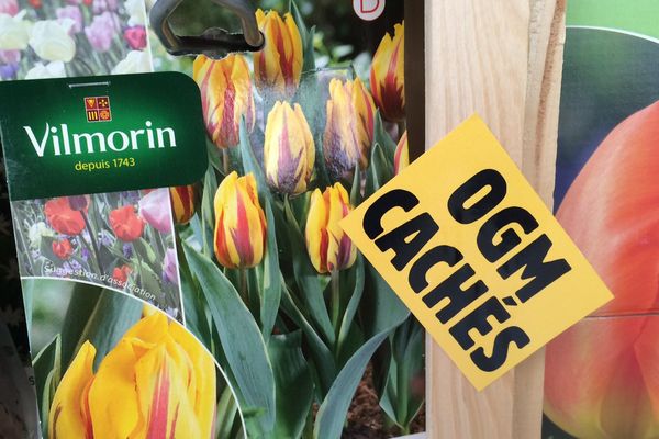 Les militants ont collé des étiquettes "OGM caché" sur les produits de la marque Vilmorin