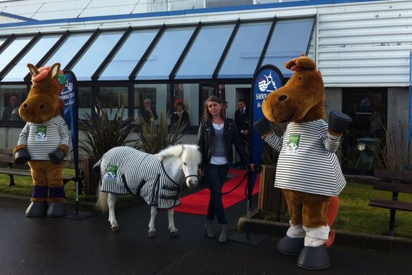 Les tenues Saint James pour les Jeux Equestres Mondiaux