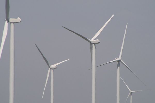 Un projet de champ d'éoliennes menace le paysage charentais selon les associations locales environnementales.