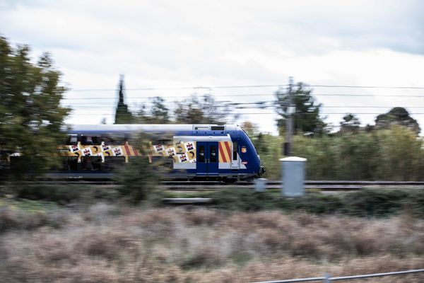 Le député des Bouches-du-Rhône Jean-Marc Zulesi défend un projet de loi pour la création de dix "services express régionaux métropolitains" (SERM).