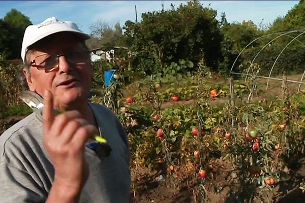 Septembre, mois crucial pour le jardin selon Jean-Paul