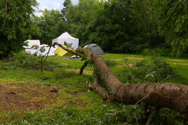 heureusement les tentes sur lesquelles cet arbe est tombé étaient vides au moment de l'orage sur ce camping de Gennes dans le Maine-et-Loire mercredi 19 juin 2024