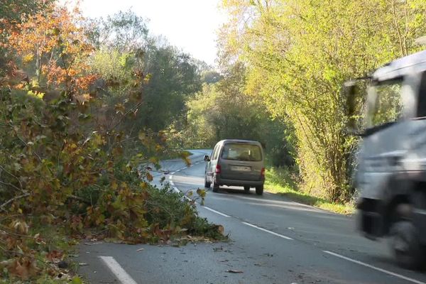 Quelques arbres couchés et des lignes électriques à terre 