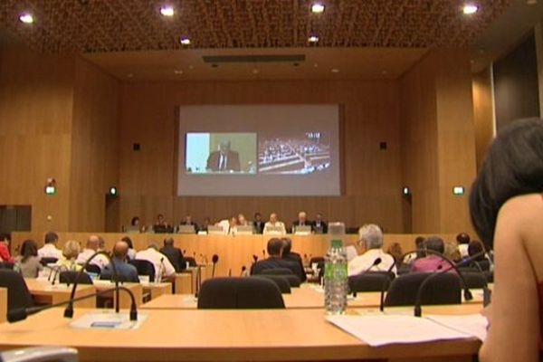 Les Conseils régionaux d'Auvergne et de Rhône-Alpes ont tenu une première réunion commune en visio-conférence. 