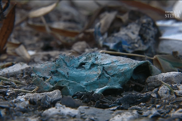 L'association écologiste Global Earth Keeper organisait dimanche une opération de nettoyage des déchets dans la zone industrielle de Tragone. 