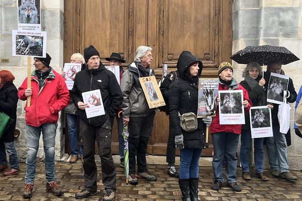 Plusieurs dizaines de manifestants se sont rassemblés pour demander à la préfecture de renoncer à l'abattage de 500 chamois dans le Doubs.