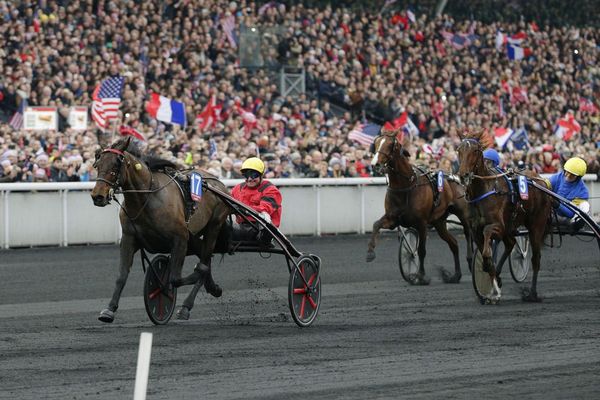 Belina Josselyn dauphine de Bold Eagle lors du dernier prix d'Amérique. 