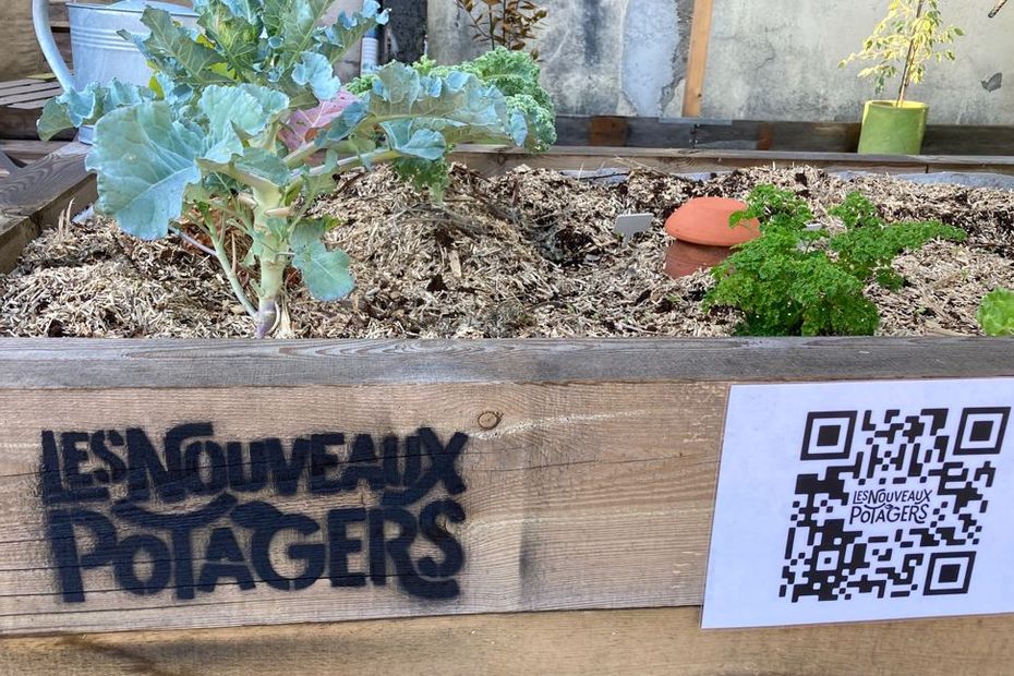 Cultivate your vegetable garden at work?  The idea was launched in Bordeaux in conjunction with the Food Bank