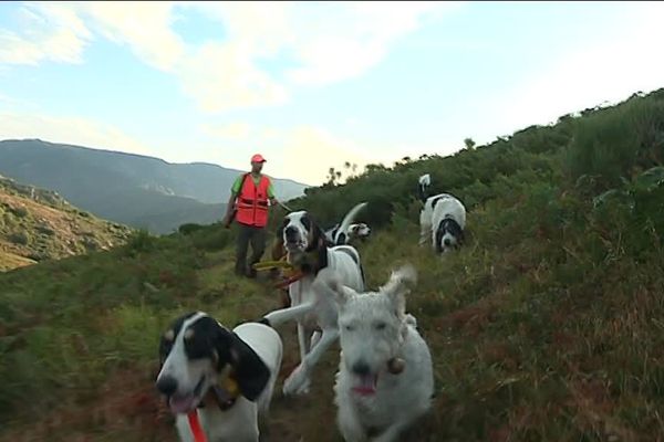 L'association communale de chasse agréée d'Aizac lors d'une battue ce jeudi matin 13 septembre