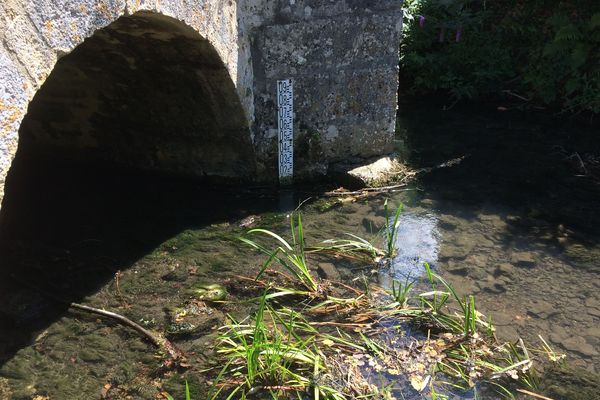 Le niveau du Clain est aussi bas qu'en plein été (Photo d'illustration)