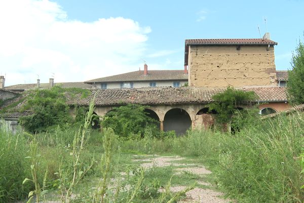 Dans le grand cloître, la nature a repris ses droits depuis 3 siècles.