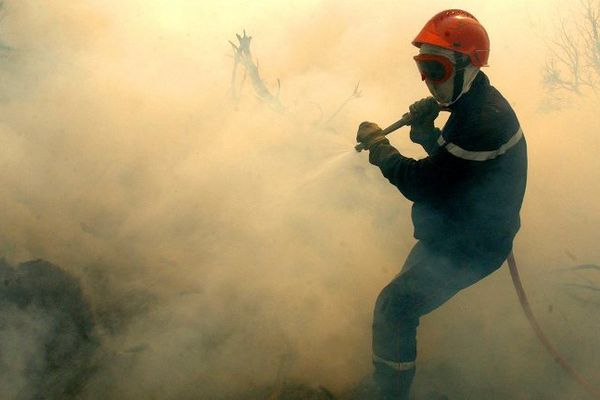 ILLUSTRATION - Pompiers à la lutte sur un feu de maquis en Corse.